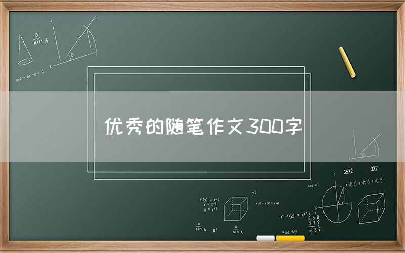 优秀的随笔作文300字