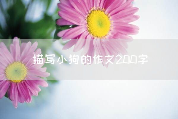描写小狗的作文200字