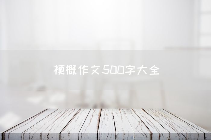 梗概作文500字大全