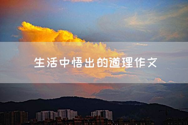 生活中悟出的道理作文