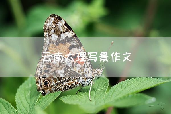 云南大理写景作文