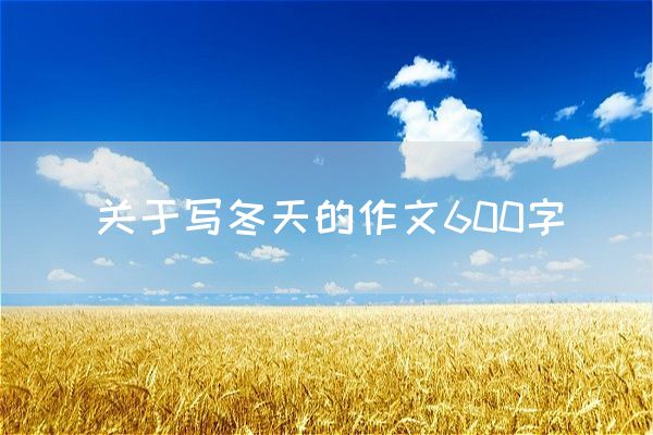 关于写冬天的作文600字