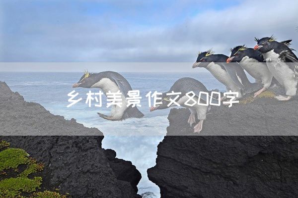 乡村美景作文800字
