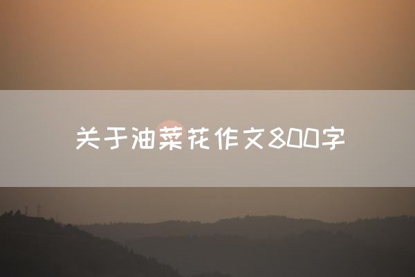 关于油菜花作文800字