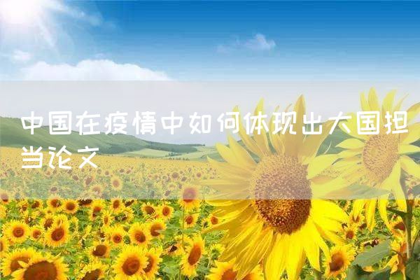 中国在疫情中如何体现出大国担当论文