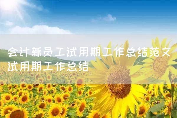 会计新员工试用期工作总结范文_试用期工作总结