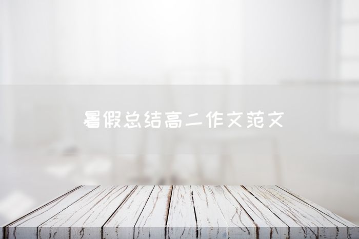 暑假总结高二作文范文