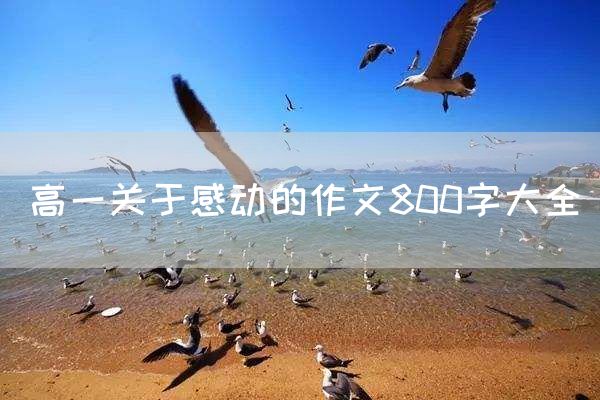 高一关于感动的作文800字大全