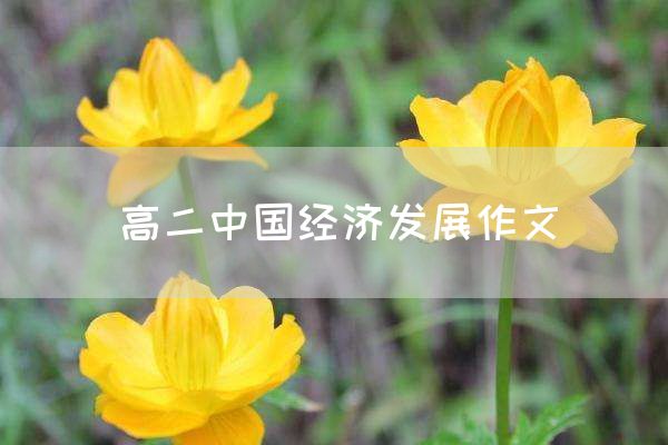 高二中国经济发展作文