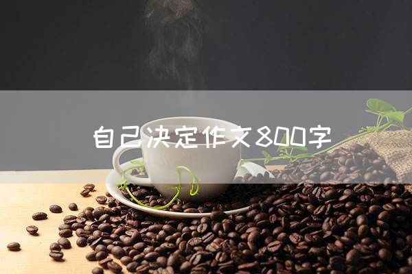 自己决定作文800字