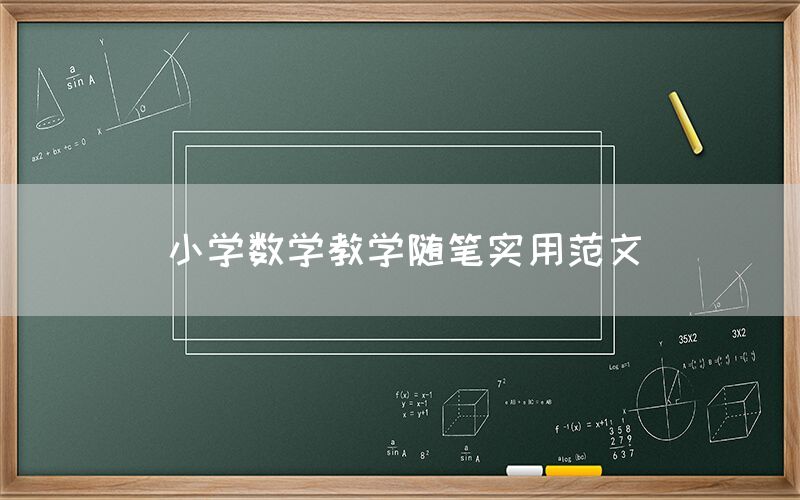 小学数学教学随笔实用范文