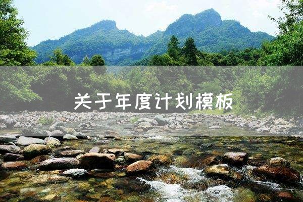 关于年度计划模板