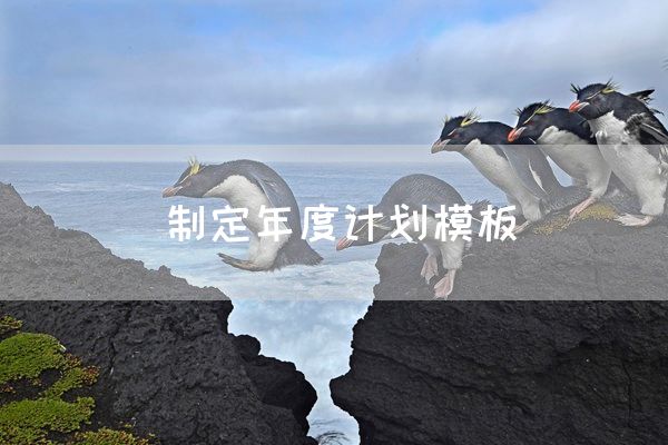 制定年度计划模板