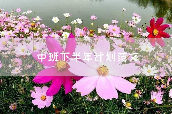 中班下半年计划范文