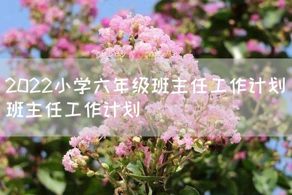 2022小学六年级班主任工作计划_班主任工作计划