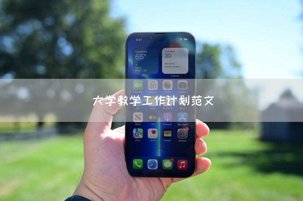 大学教学工作计划范文