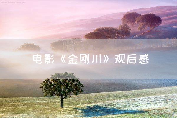 电影《金刚川》观后感