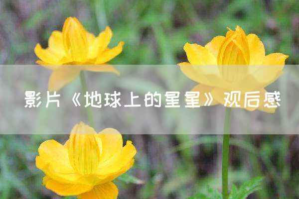 影片《地球上的星星》观后感