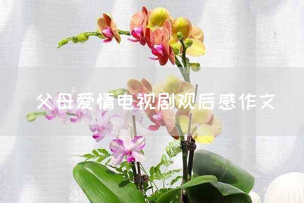 父母爱情电视剧观后感作文