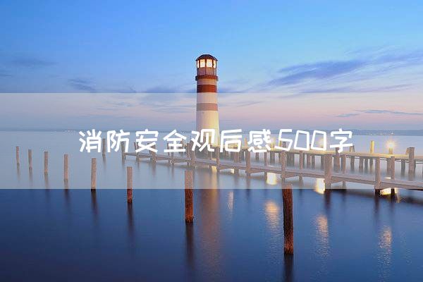 消防安全观后感500字