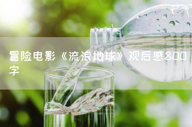 冒险电影《流浪地球》观后感800字