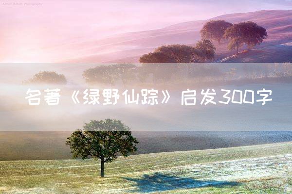 名著《绿野仙踪》启发300字