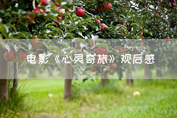 电影《心灵奇旅》观后感