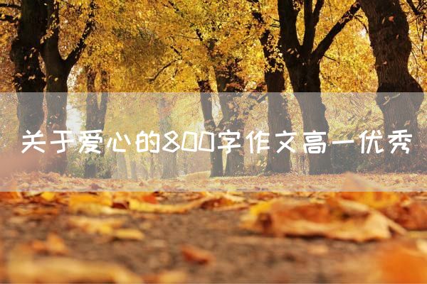 关于爱心的800字作文高一优秀