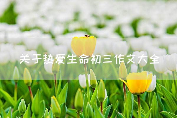 关于热爱生命初三作文大全