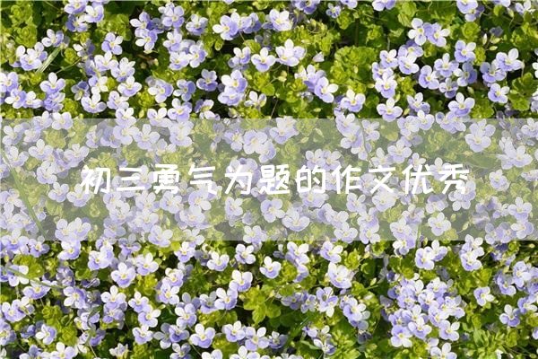 初三勇气为题的作文优秀