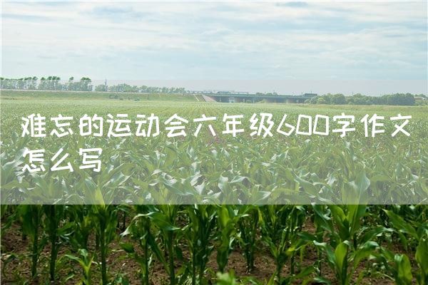 难忘的运动会六年级600字作文怎么写
