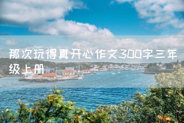 那次玩得真开心作文300字三年级上册