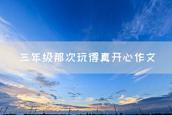 三年级那次玩得真开心作文